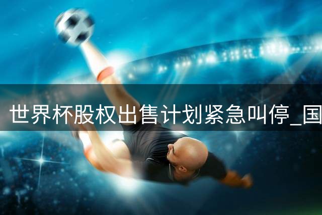 世界杯股权出售计划紧急叫停 国际足联终止争议性商业提案